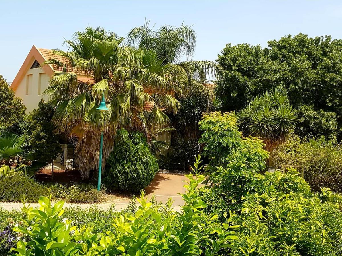 Huge & Private Villa In Kibbutz Dafna Exterior foto